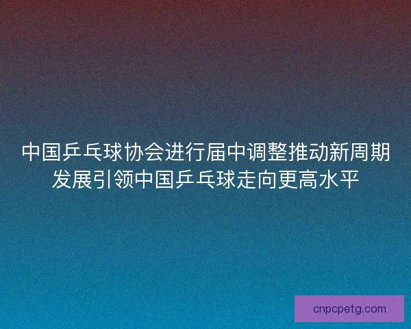 中国乒乓球协会进行届中调整推动新周期发展引领中国乒乓球走向更高水平